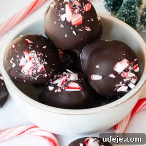 Dark Chocolate Peppermint Dreams 4 Vegan chocolate peppermint truffles with a rich, creamy center, coated in melted chocolate and sprinkled with crushed peppermint.