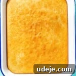 Baked cake in a white baking dish on a blue background