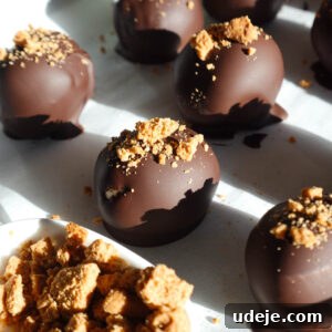 Close-up of vegan gingerbread truffles dipped in chocolate and sprinkled with crushed gingerbread cookies.