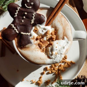 Overhead shot of vegan gingerbread hot chocolate topped with whipped cream, a chocolate gingerbread cookie, crushed gingerbread, and a cinnamon stick for a festive holiday treat.