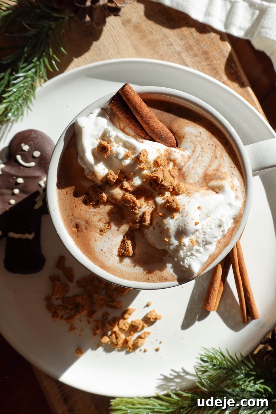 Festive Vegan Gingerbread Hot Chocolate 5 Overhead shot of a cozy mug of vegan gingerbread hot chocolate topped with dairy-free whipped cream and a sprinkle of crushed gingerbread cookies, perfect for holiday gatherings.