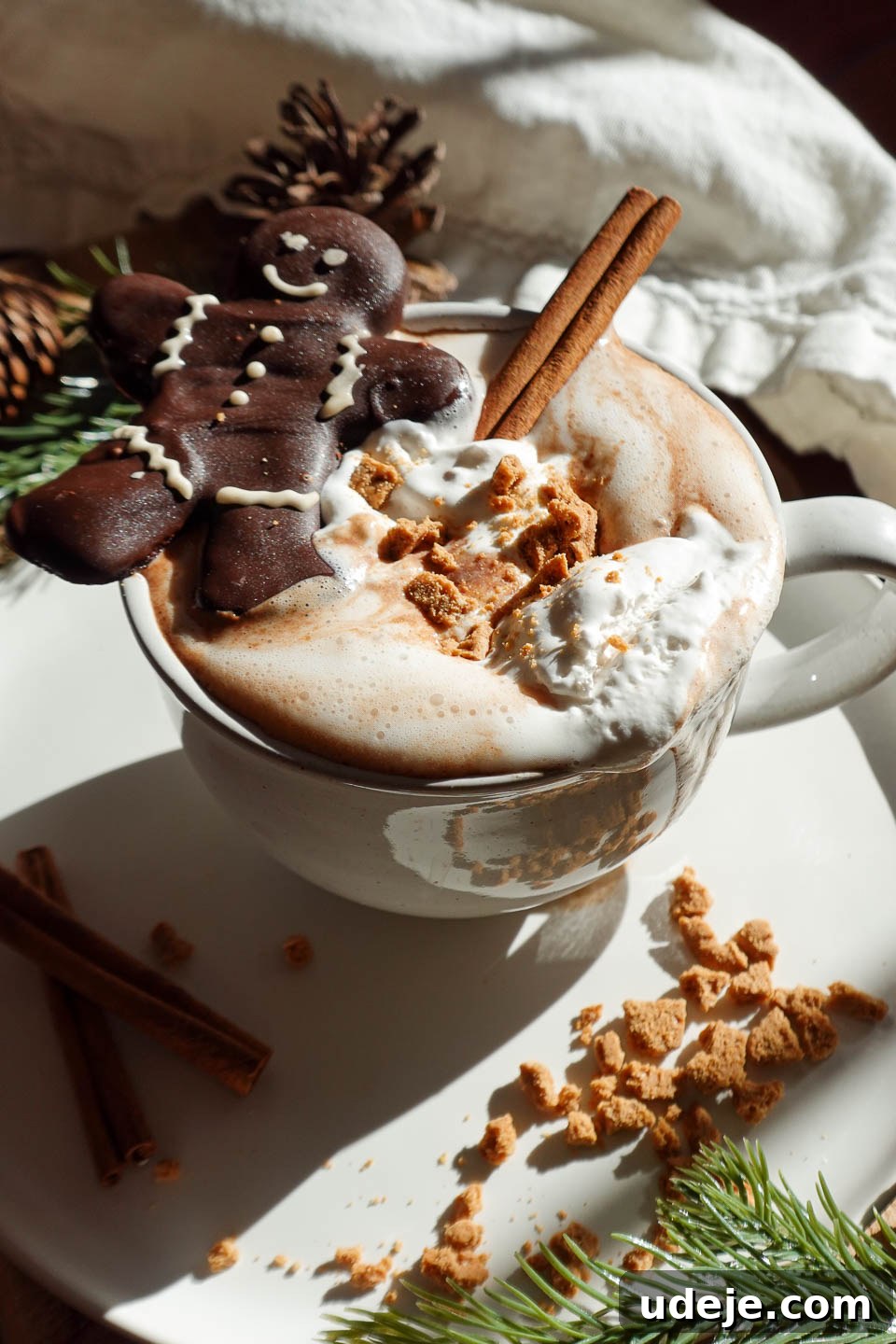 Festive Vegan Gingerbread Hot Chocolate 8 Close-up of creamy gingerbread hot chocolate in a cozy mug with vegan whipped cream, a chocolate gingerbread cookie, crushed gluten-free gingerbread cookies, and gingerbread spices.