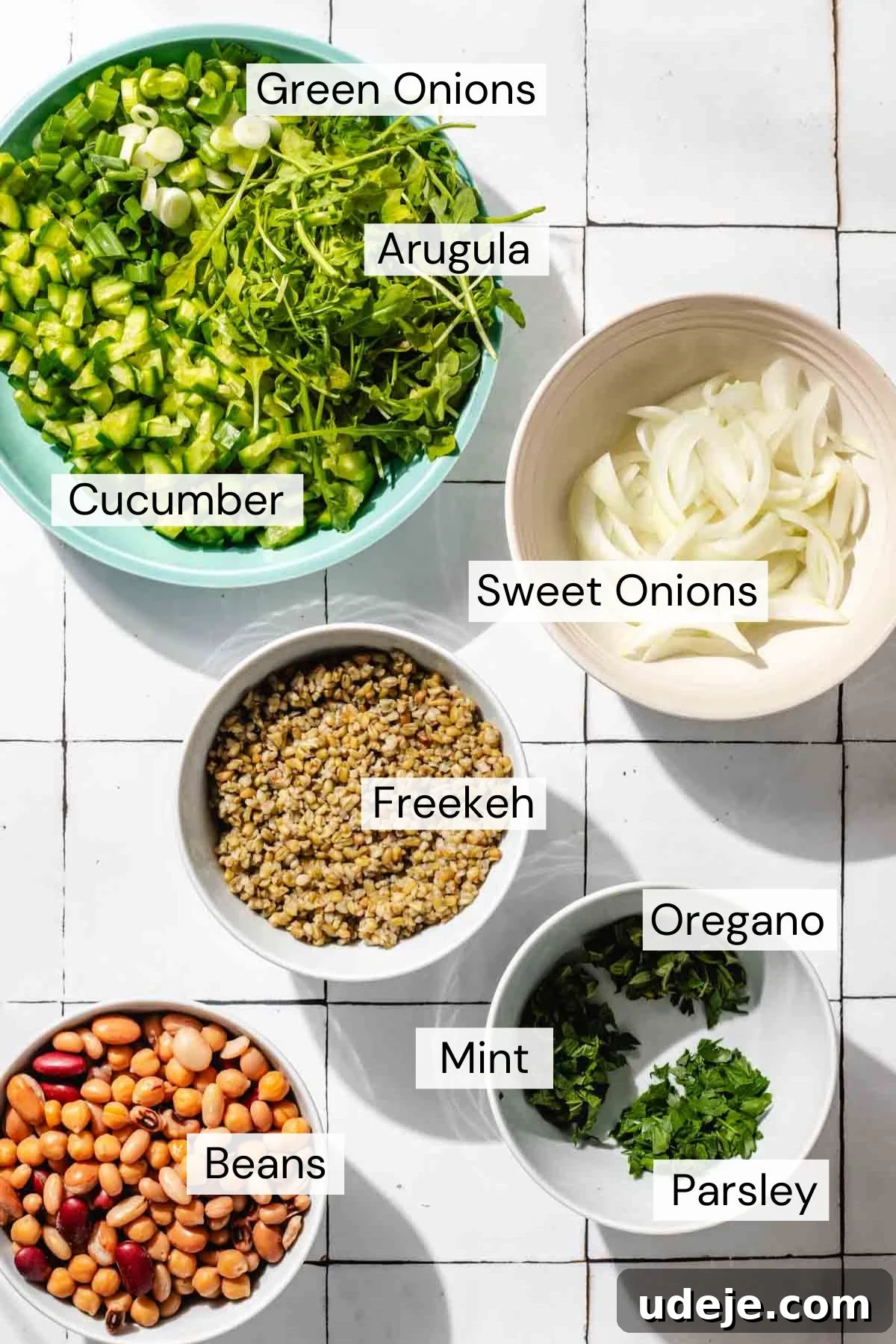 Silky Freekeh Bean Fiesta 6 Ingredients for Freekeh Salad which include arugula, green onions, cucumber, sweet onions, freekeh, oregano, mint, parsley, and beans