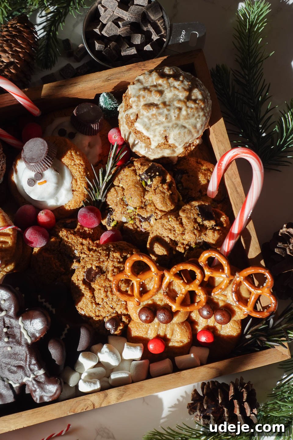 The Ultimate 2024 Vegan and Gluten-Free Christmas Cookie Collection 4 close up of Christmas cookie gift box with delicious holiday treats, perfect for gifting, including allergen-friendly vegan cookies
