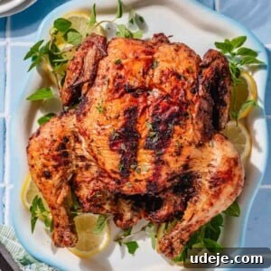 whole air fried chicken on a white, light blue rimmed platter with herbs and lemon slices on a blue tiled background with a glass of water, 3 white plates stacked, a green tea towel and a wooden handled knife