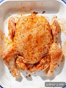 whole chicken rubbed with red/orange marinade in a white, blue rimmed baking dish on a blue tiled background