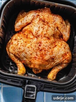 whole marinated chicken in a black airfryer basket on a blue tiled background