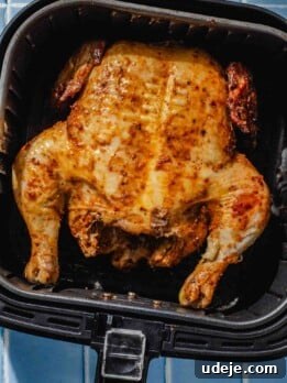 half cooked whole marinated chicken in a black airfryer basket on a blue tiled background
