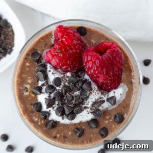 Fudgy Brownie Overnight Oats 5 Overhead shot of rich and creamy Brownie Batter Overnight Oats topped with vegan yogurt, chocolate chips and fresh raspberries.
