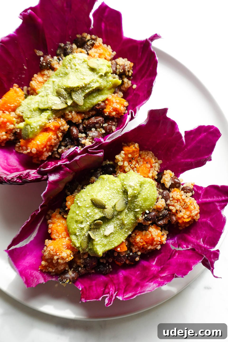 Vegan Sweet Potato Black Bean Cabbage Wraps 3 Close-up of hearty quinoa, roasted sweet potato, and seasoned black beans tucked into fresh red cabbage leaves, ready to be enjoyed.