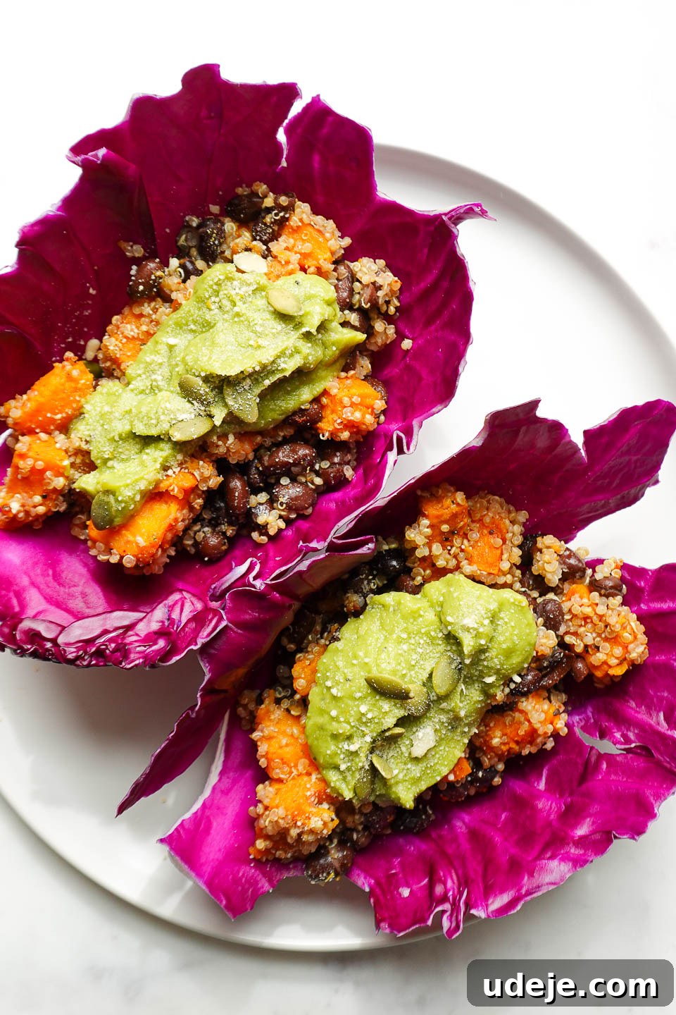 Vegan Sweet Potato Black Bean Cabbage Wraps 5 A beautifully arranged plate featuring two vibrant vegan sweet potato and black bean tacos in red cabbage wraps, generously topped with fresh guacamole and a sprinkle of herbs.