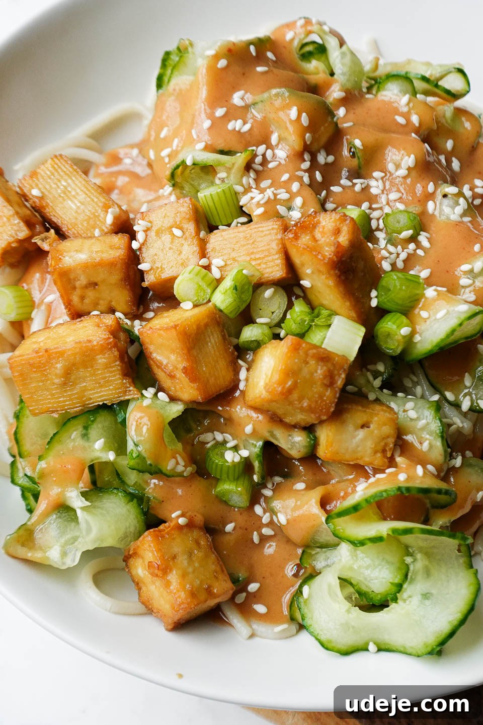 A richly colored vegan noodle bowl filled with brown rice noodles, golden crispy tofu pieces, and an assortment of fresh, vibrant vegetables, ready to be eaten.