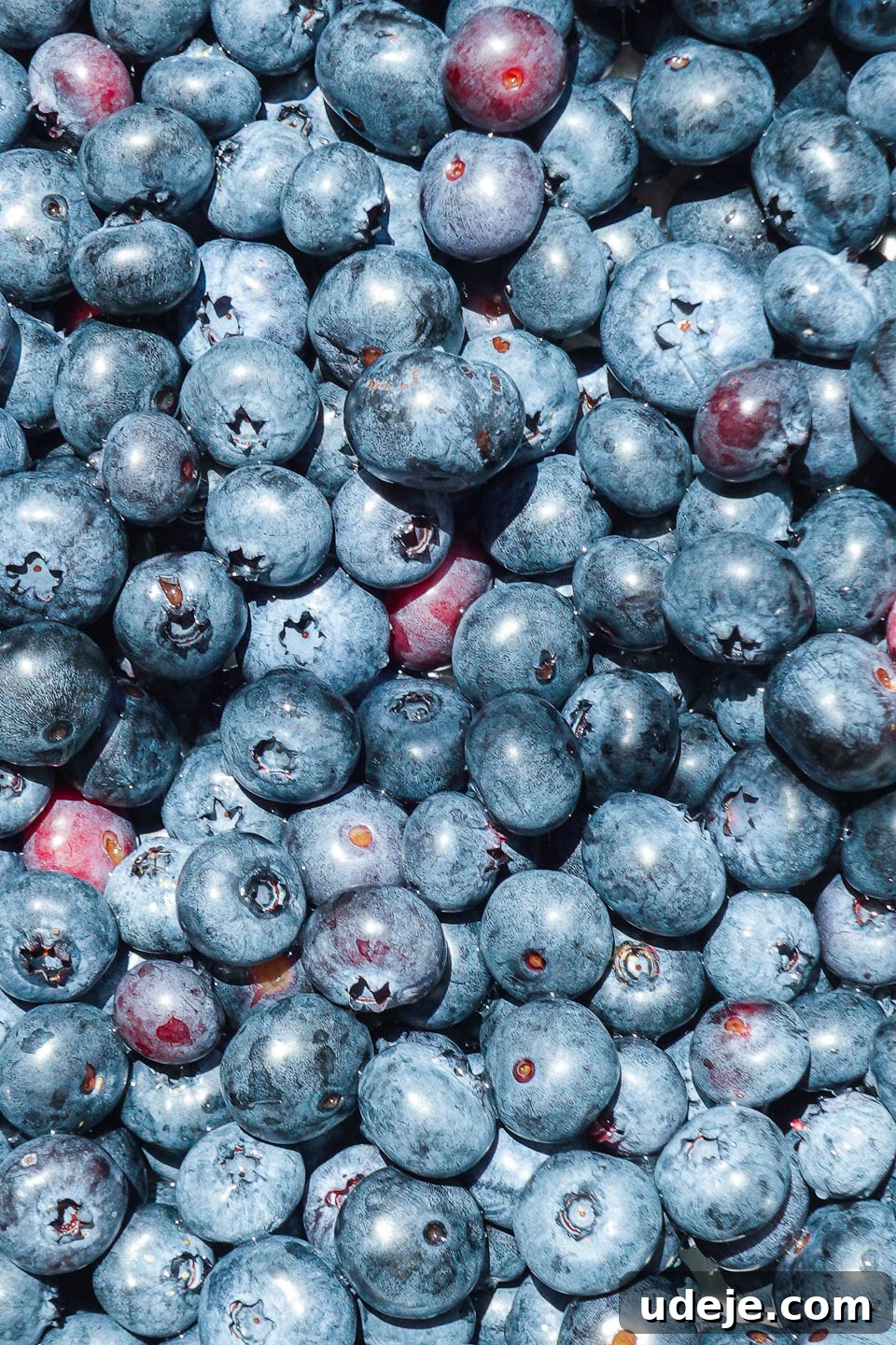 Guilt-Free Blueberry Crisp 3 A close-up shot of plump, ripe blueberries gathered in a rustic bowl, showcasing their vibrant color and fresh appearance.