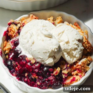 Healthy blueberry crisp served with vegan vanilla ice cream