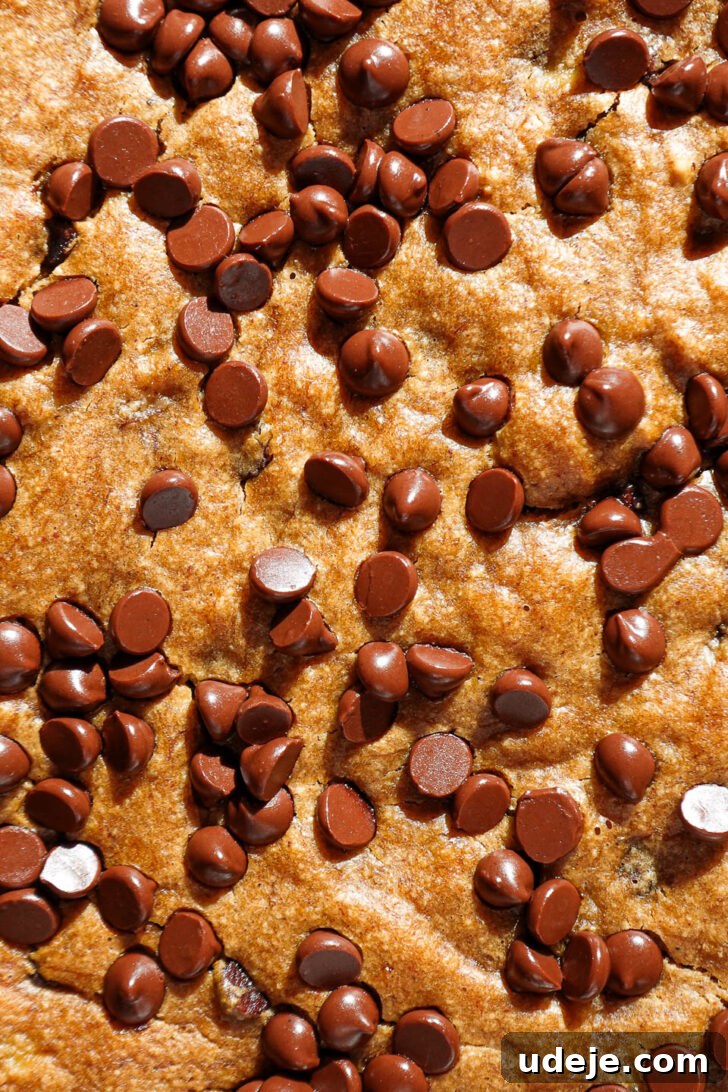 Vegan Gluten Free Chocolate Chip Banana Dream Bars 11 Close-up of freshly baked vegan banana bars before slicing, with glowing mini chocolate chips sparkling on the golden-brown top.
