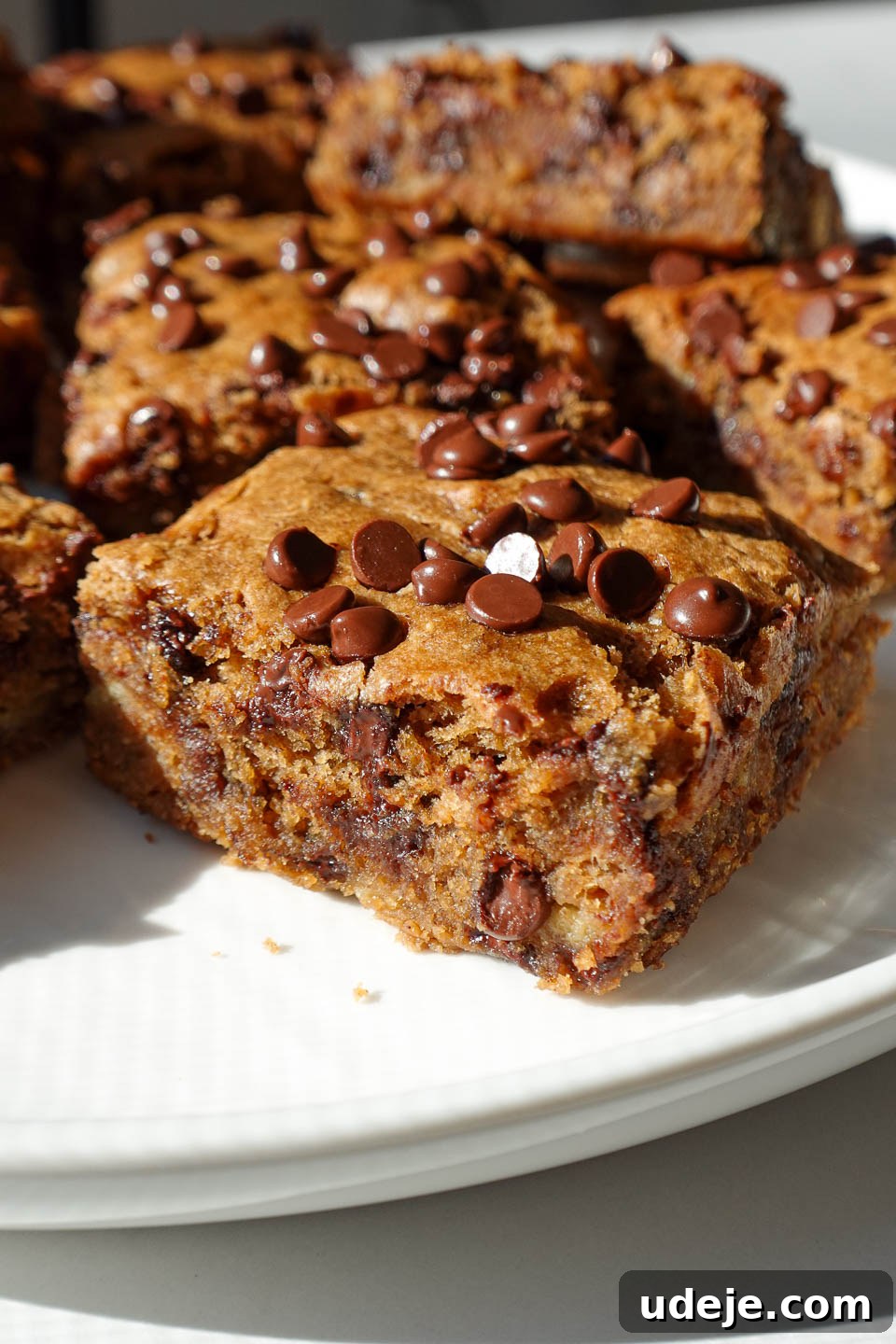 Vegan Gluten Free Chocolate Chip Banana Dream Bars 6 Close-up of a soft and moist vegan chocolate chip banana bar, showcasing the tender crumb and perfectly melted chocolate chips throughout.