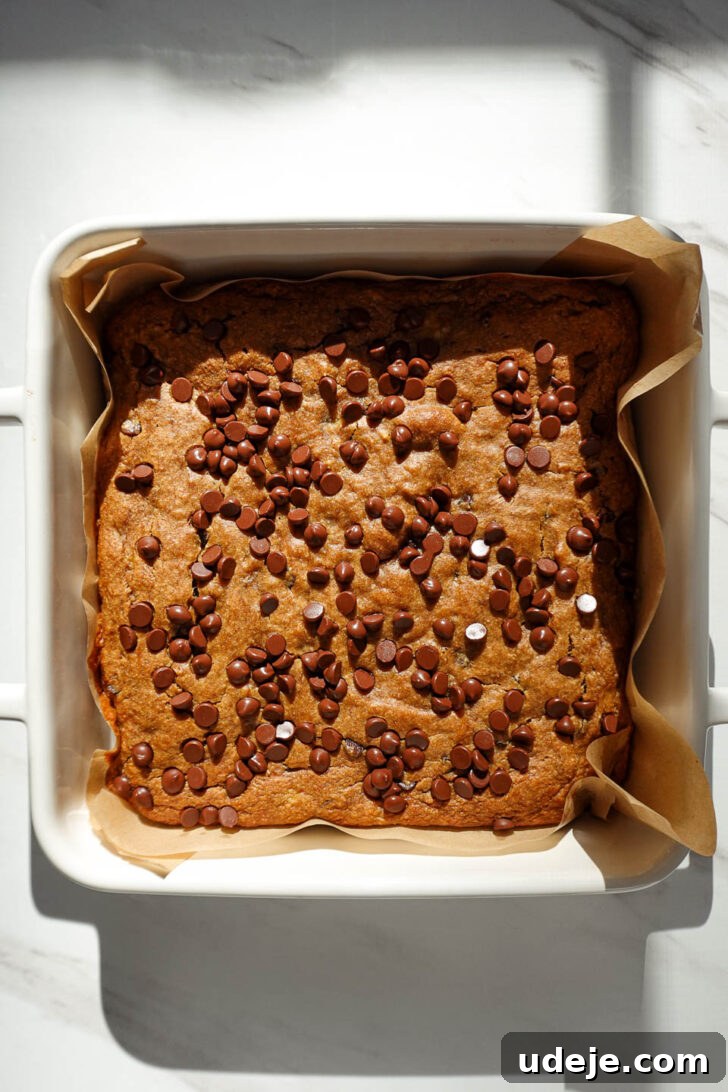 Vegan Gluten Free Chocolate Chip Banana Dream Bars 9 Freshly baked vegan chocolate chip banana bars, golden on top with visibly melted chocolate chips, cooling in an 8x8 pan.
