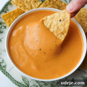 Nut-free vegan cheese sauce served as a queso dip with tortilla chips, inviting and creamy