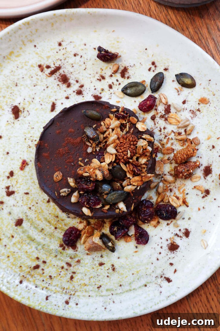 Vegan Restaurants in Paris 2026: Top Picks and Where to Eat 14 No bake chocolate torte.