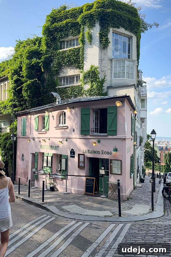 Vegan Restaurants in Paris 2026: Top Picks and Where to Eat 15 La Maison Rose restaurant in Montmartre.