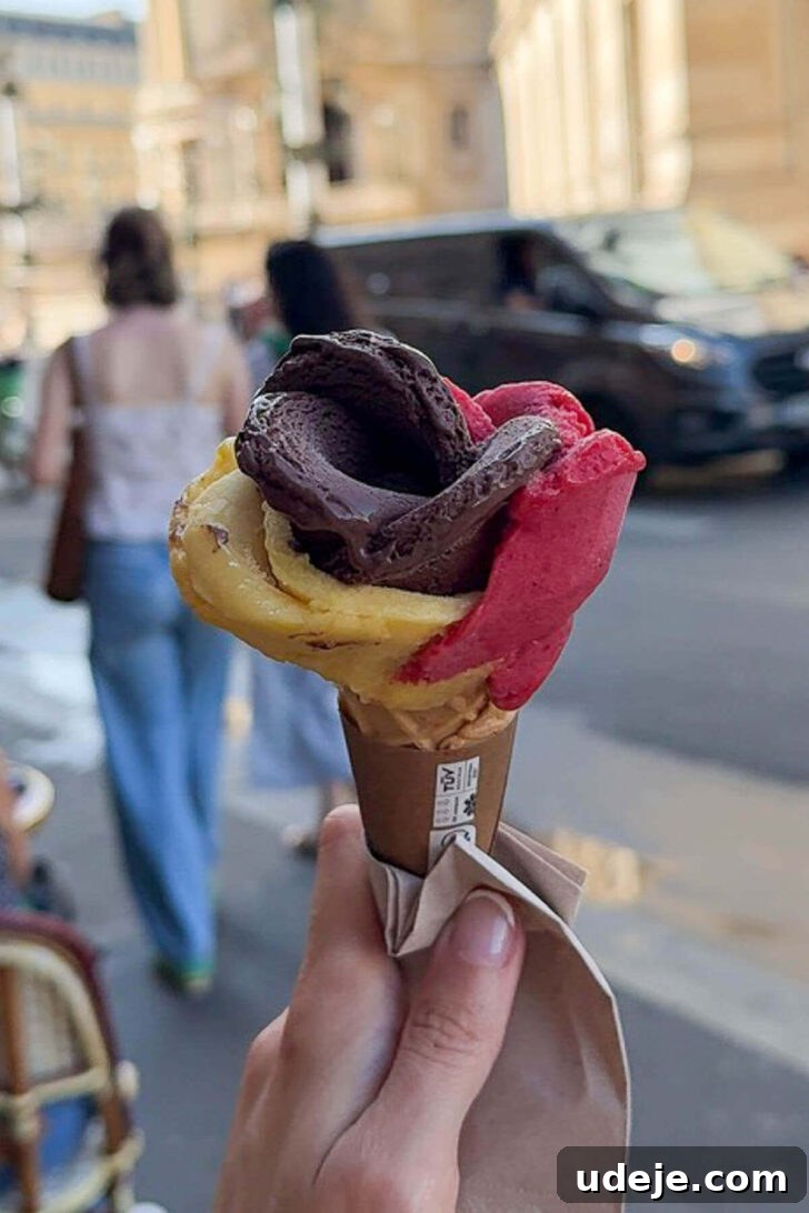 Vegan Restaurants in Paris 2026: Top Picks and Where to Eat 19 Vegan gelato cone in Paris