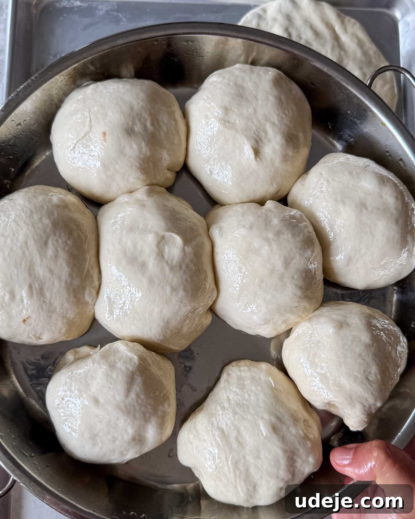 A close-up of a round metal tray holding ten pieces of risen pizza dough, slightly shiny and soft, with a hand holding the tray at the bottom right corner.